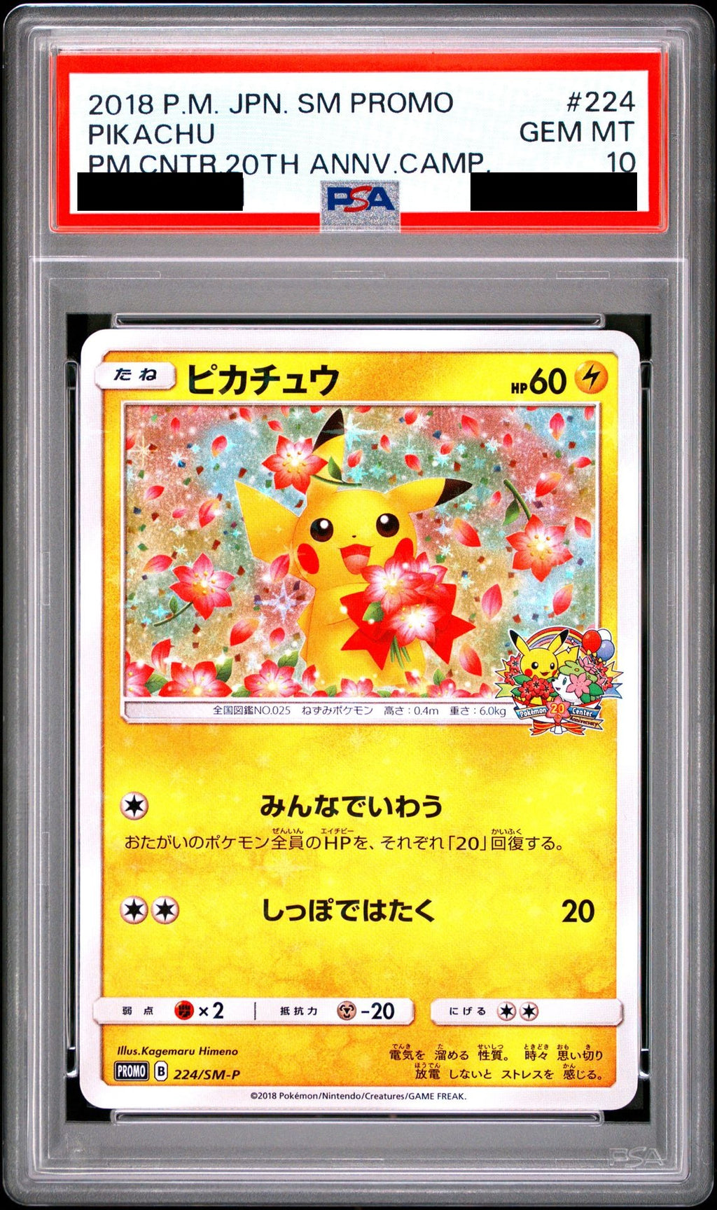 Pikachu PROMO 224 SM-P PSA 10