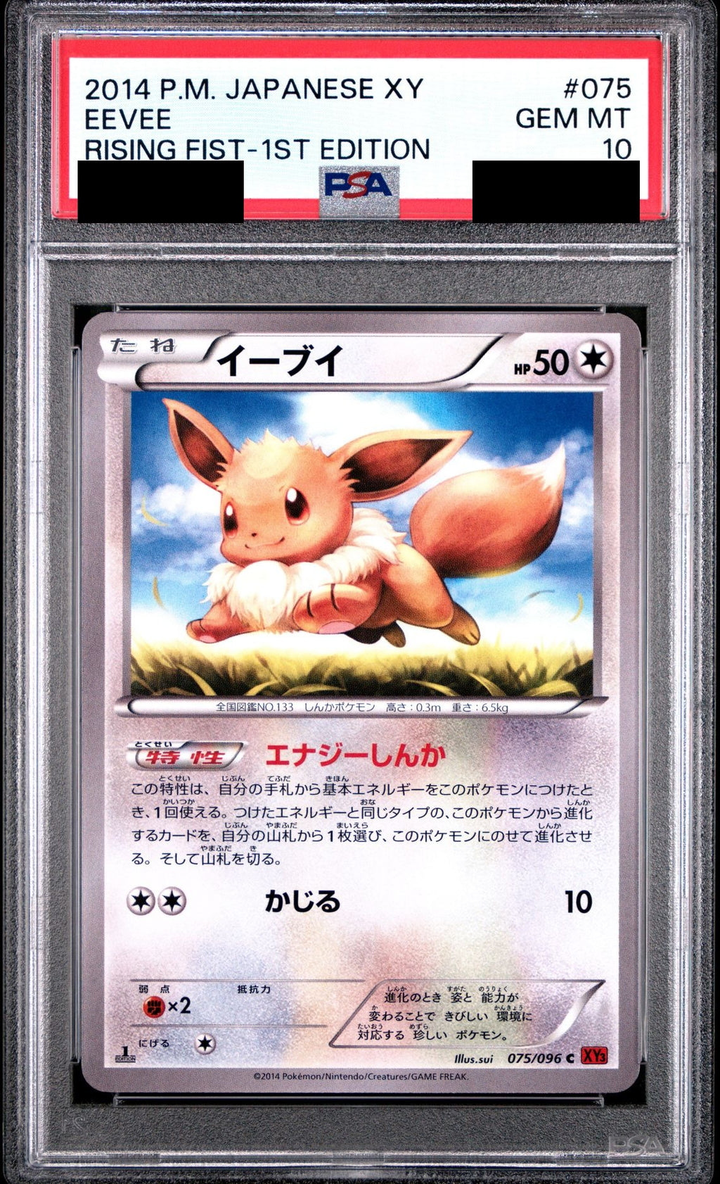 Eevee C 1ED 075/096 XY3 PSA 10