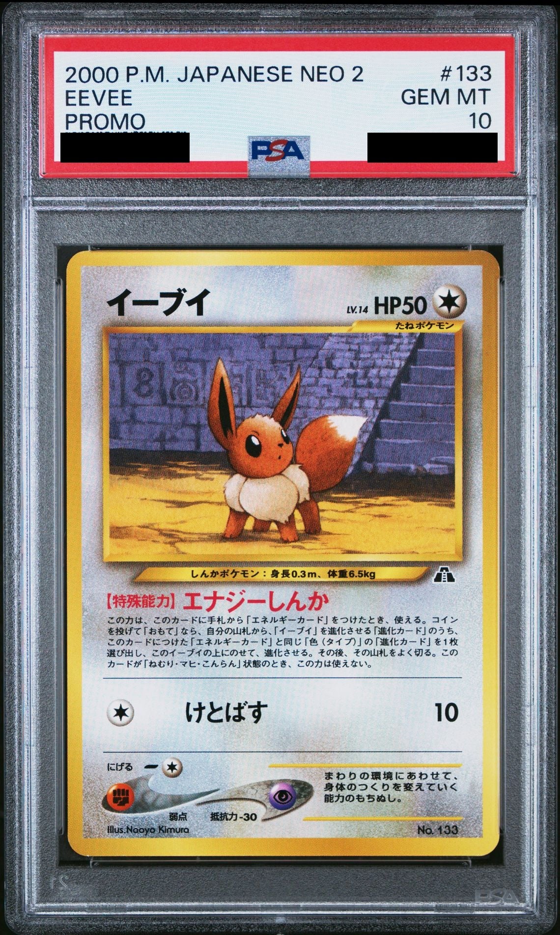 Eevee Premium File 2 Old Back No.133 neoP2 PSA 10
