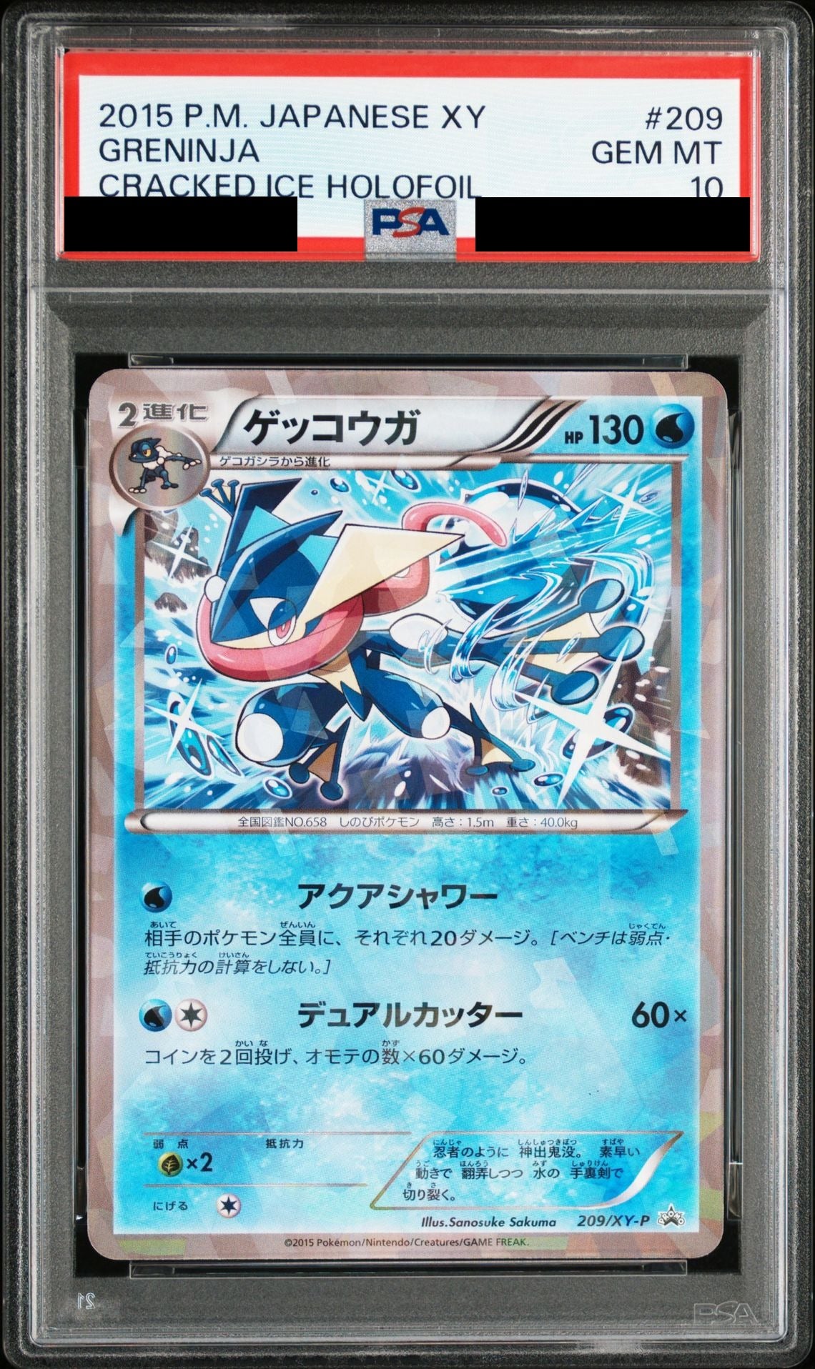 Greninja P 209 XY-P PSA 10