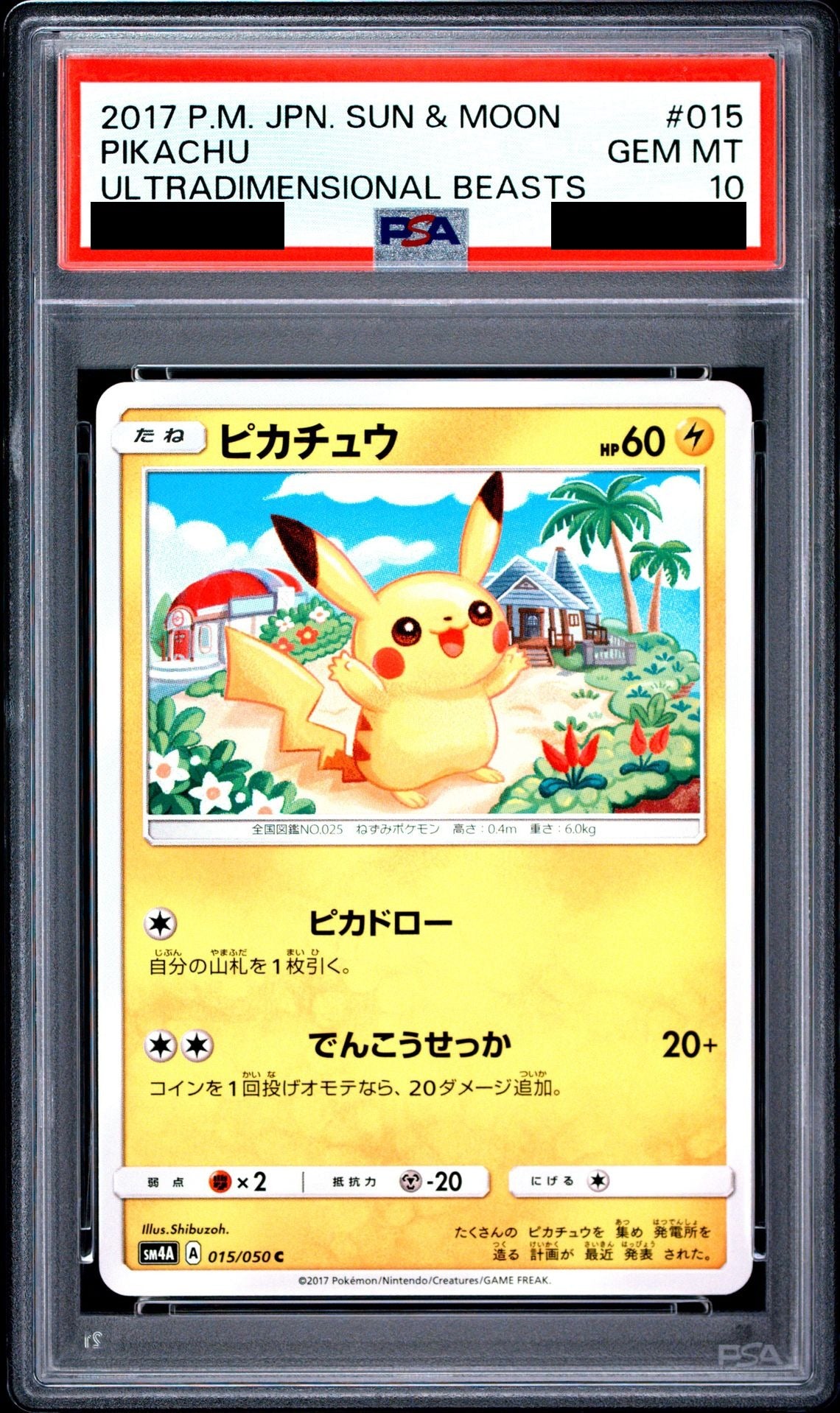 Pikachu 015/050 SM4A PSA 10